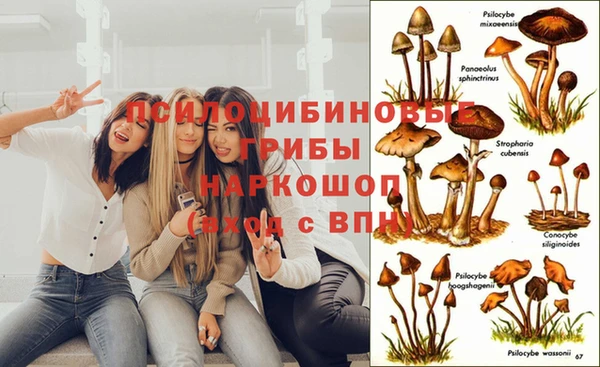 спиды Абаза