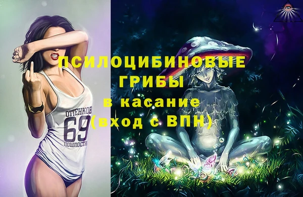 спиды Абаза