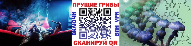 Псилоцибиновые грибы MAGIC MUSHROOMS  Каргополь 